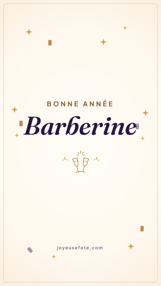 Image « Bonne année Barberine » au format story