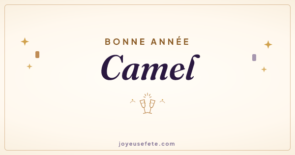 Image « Bonne année Camel » au format large