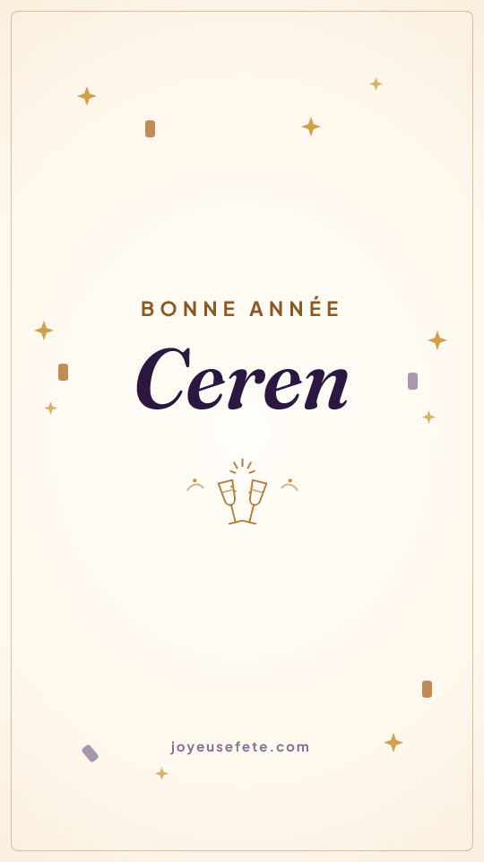 Image « Bonne année Ceren » au format story