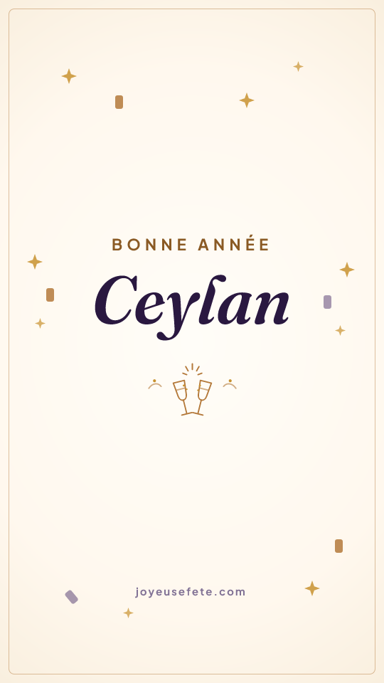 Image « Bonne année Ceylan » au format story