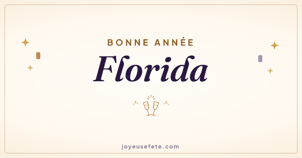 Image « Bonne année Florida » au format large