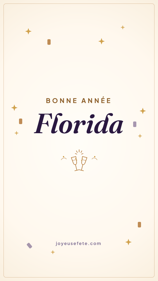 Image « Bonne année Florida » au format story
