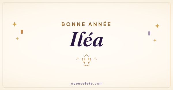 Image « Bonne année Iléa » au format large