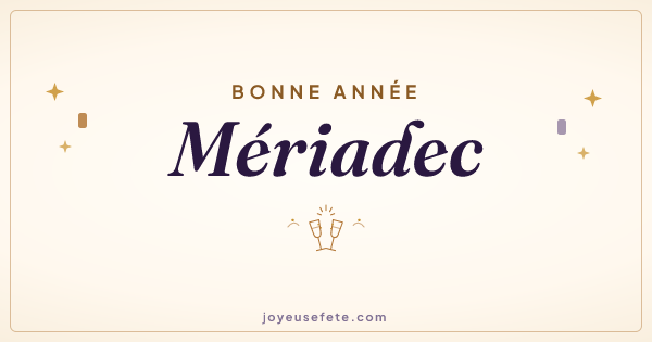 Image « Bonne année Mériadec » au format large
