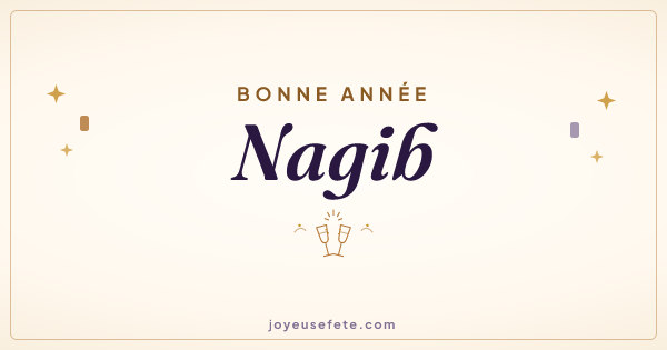 Image « Bonne année Nagib » au format large