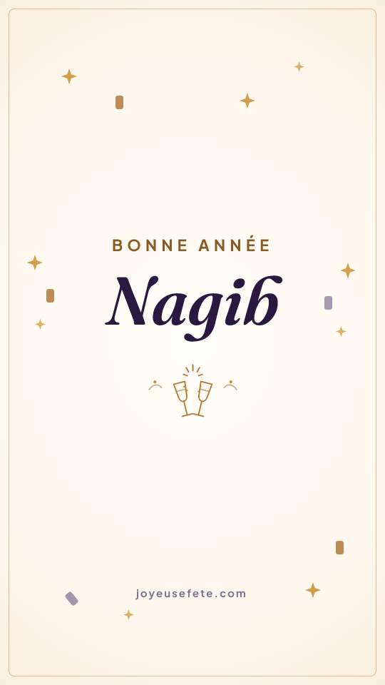 Image « Bonne année Nagib » au format story