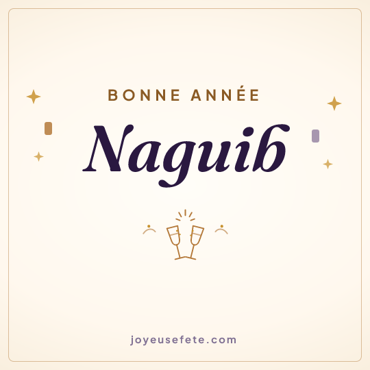 Image carrée « Bonne année Naguib » pour WhatsApp