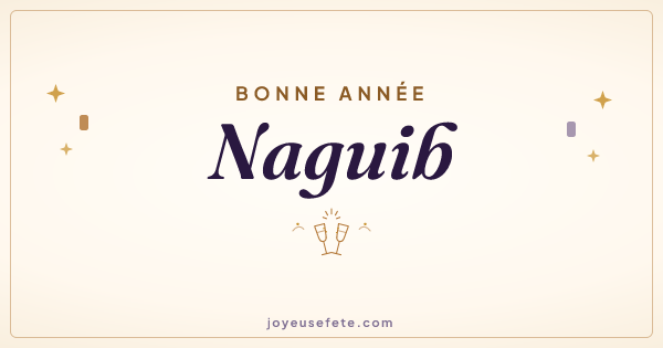 Image « Bonne année Naguib » au format large