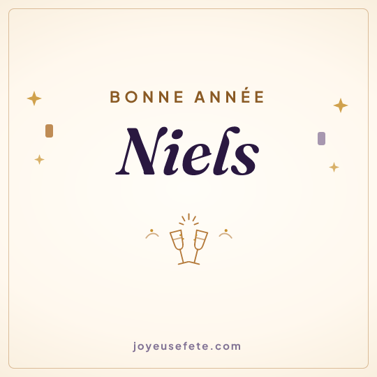 Image carrée « Bonne année Niels » pour WhatsApp