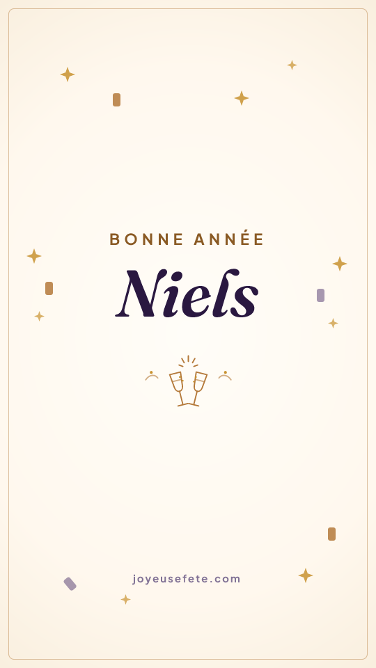 Image « Bonne année Niels » au format story