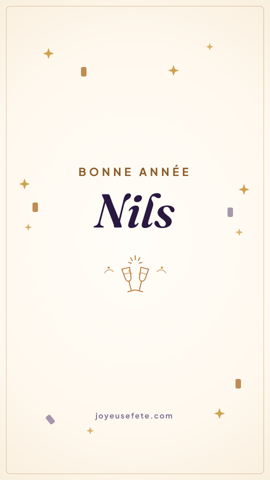 Image « Bonne année Nils » au format story