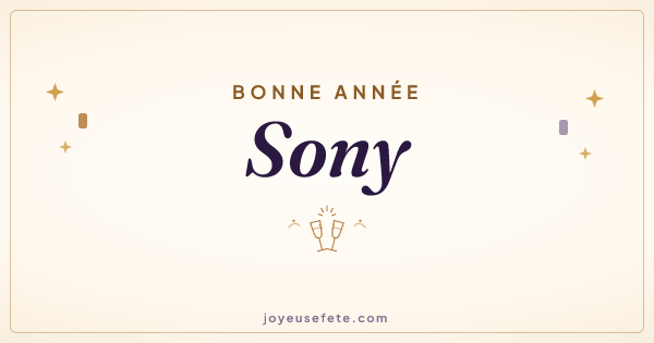 Image « Bonne année Sony » au format large