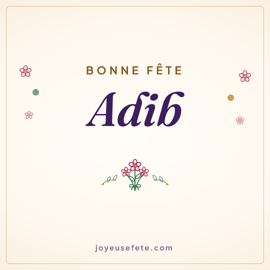 Image carrée « Bonne fête Adib » pour WhatsApp