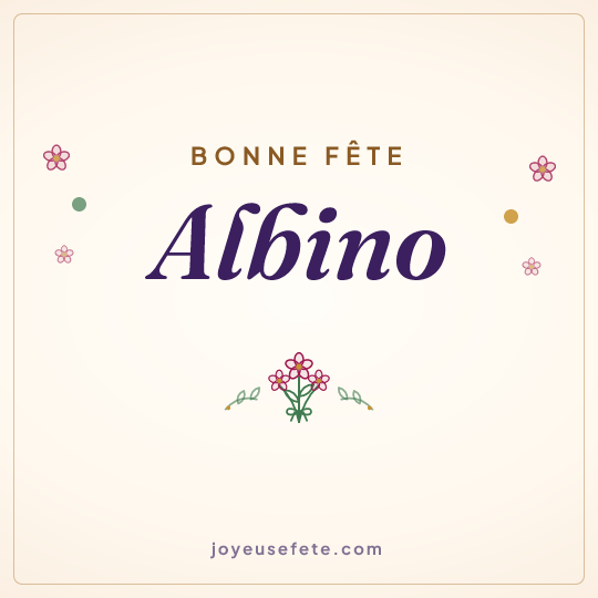 Image carrée « Bonne fête Albino » pour WhatsApp