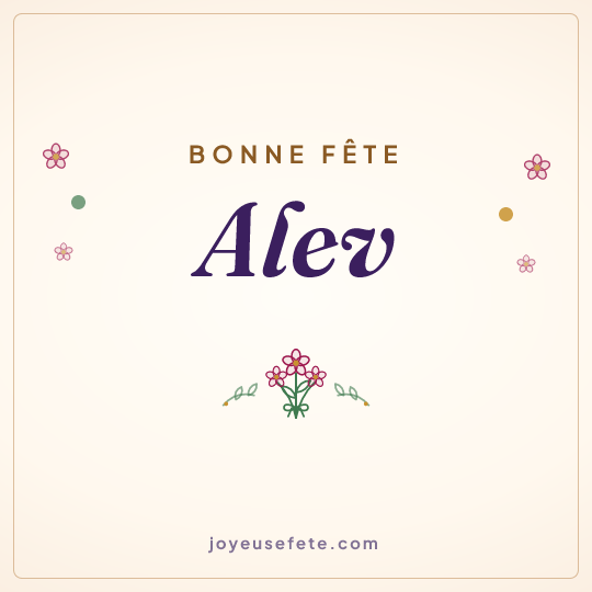 Image carrée « Bonne fête Alev » pour WhatsApp