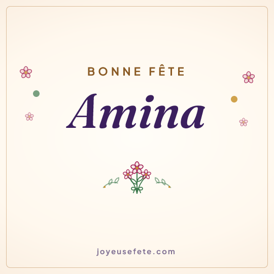 Image carrée « Bonne fête Amina » pour WhatsApp