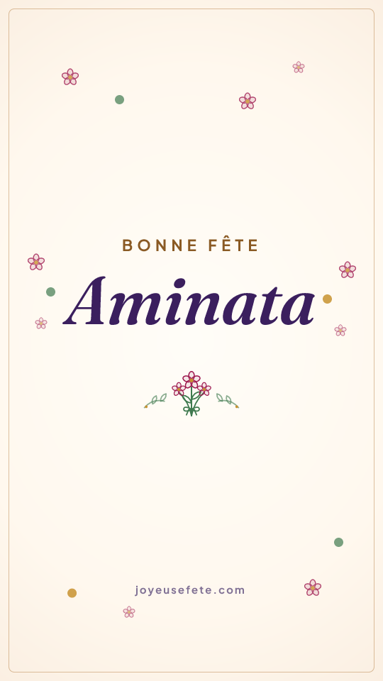 Image « Bonne fête Aminata » au format story