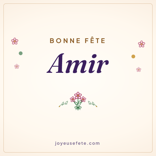 Image carrée « Bonne fête Amir » pour WhatsApp