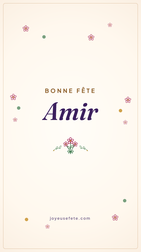 Image « Bonne fête Amir » au format story