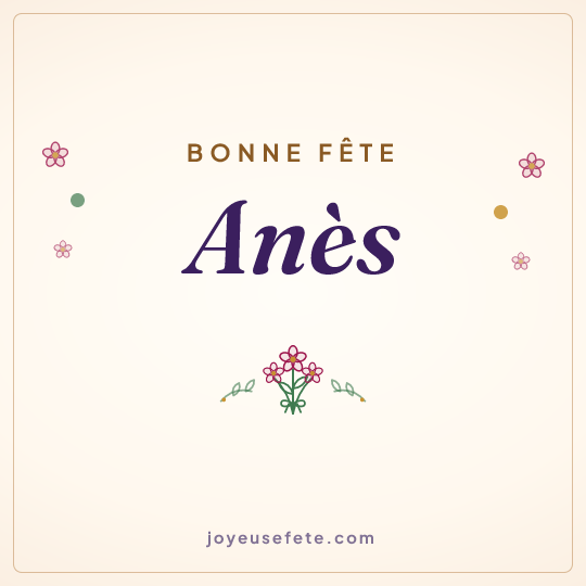 Image carrée « Bonne fête Anès » pour WhatsApp