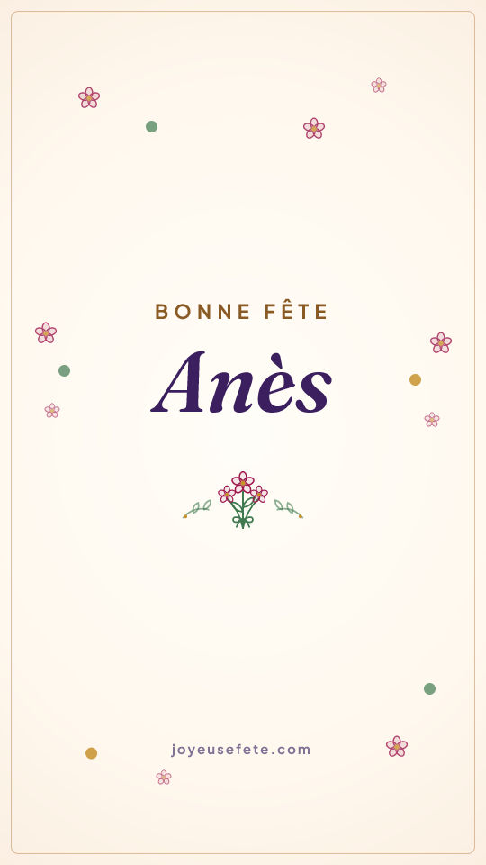 Image « Bonne fête Anès » au format story
