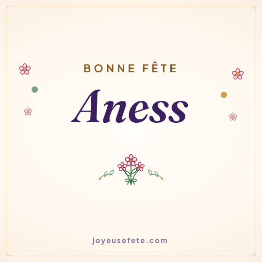 Image carrée « Bonne fête Aness » pour WhatsApp