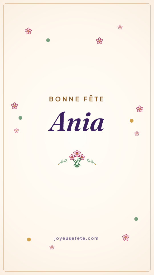 Image « Bonne fête Ania » au format story