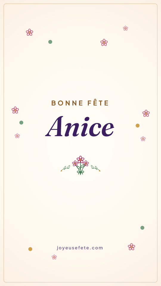 Image « Bonne fête Anice » au format story