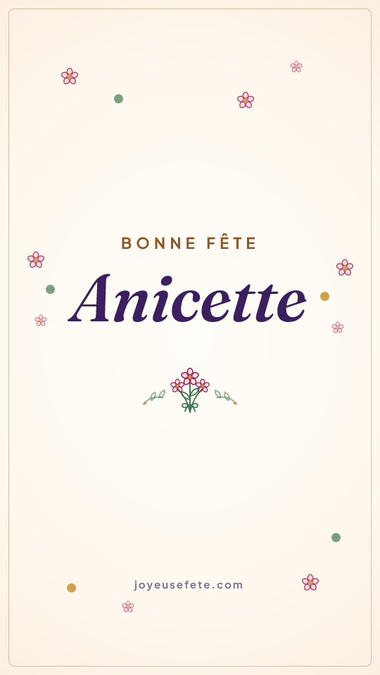Image « Bonne fête Anicette » au format story