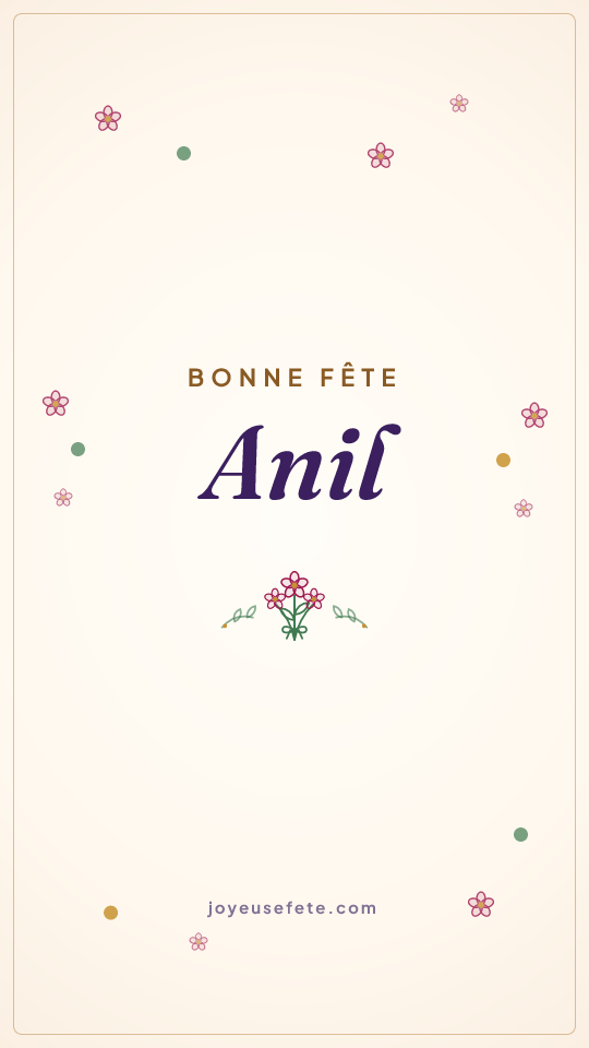 Image « Bonne fête Anil » au format story