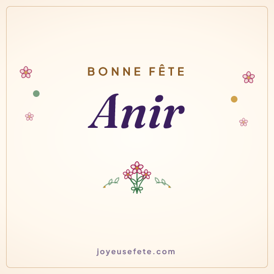 Image carrée « Bonne fête Anir » pour WhatsApp