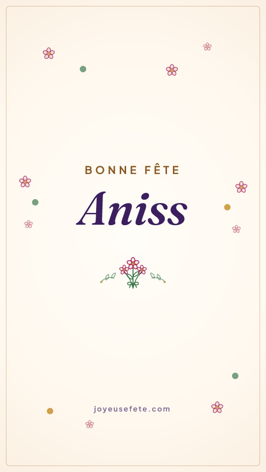 Image « Bonne fête Aniss » au format story