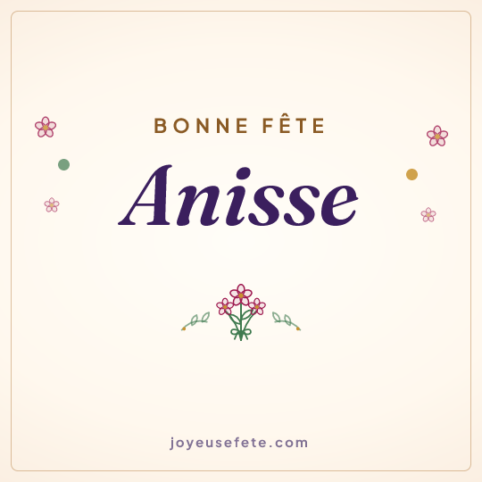 Image carrée « Bonne fête Anisse » pour WhatsApp