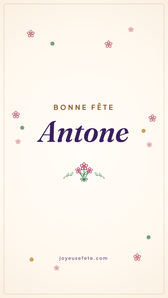 Image « Bonne fête Antone » au format story