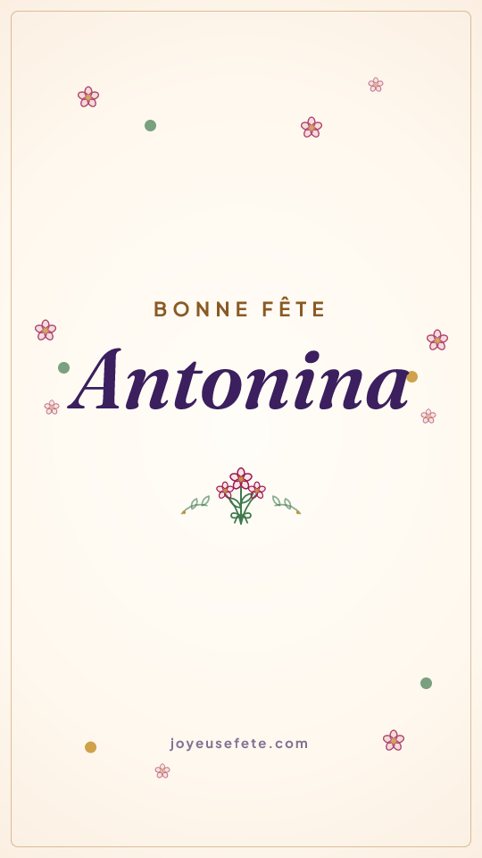 Image « Bonne fête Antonina » au format story