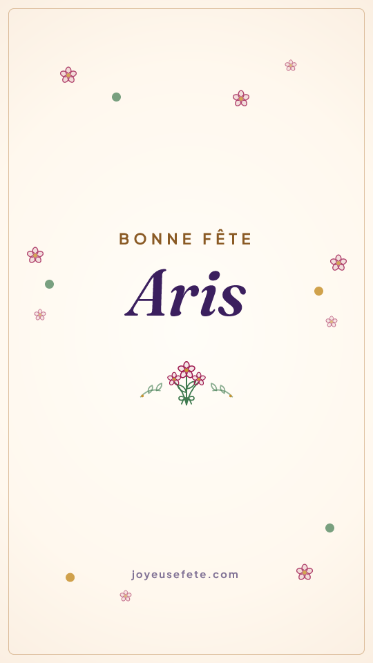 Image « Bonne fête Aris » au format story