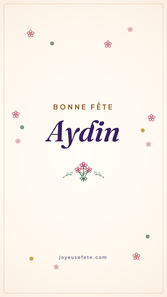 Image « Bonne fête Aydin » au format story