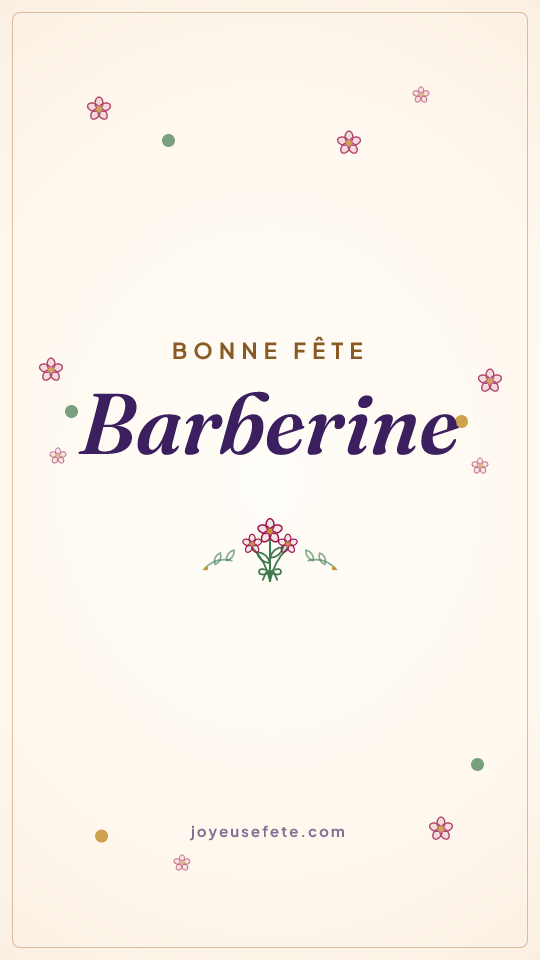 Image « Bonne fête Barberine » au format story