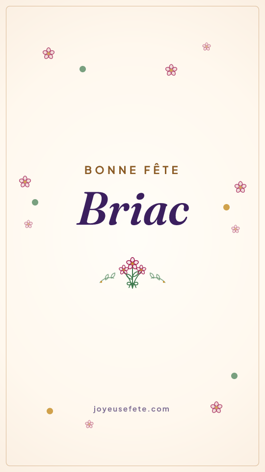 Image « Bonne fête Briac » au format story
