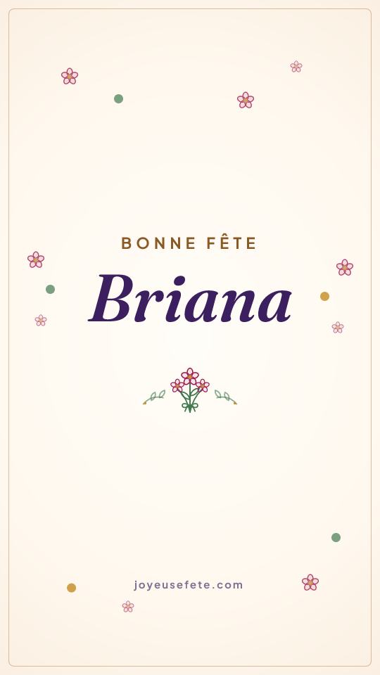 Image « Bonne fête Briana » au format story