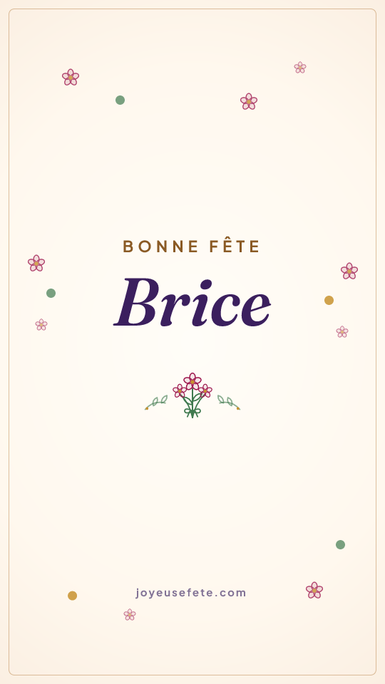 Image « Bonne fête Brice » au format story