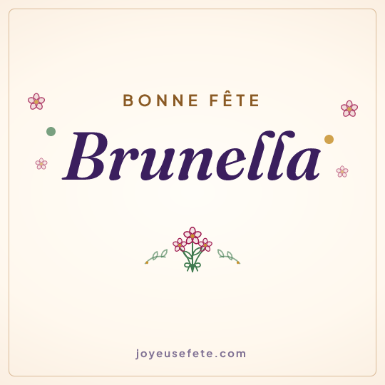 Image carrée « Bonne fête Brunella » pour WhatsApp