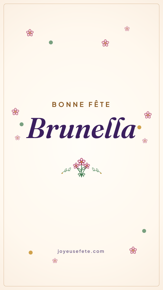 Image « Bonne fête Brunella » au format story