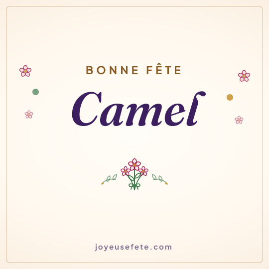 Image carrée « Bonne fête Camel » pour WhatsApp