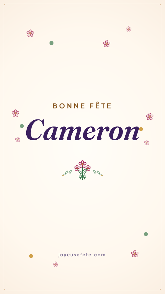 Image « Bonne fête Cameron » au format story