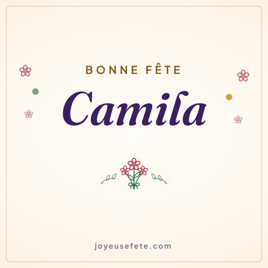 Image carrée « Bonne fête Camila » pour WhatsApp