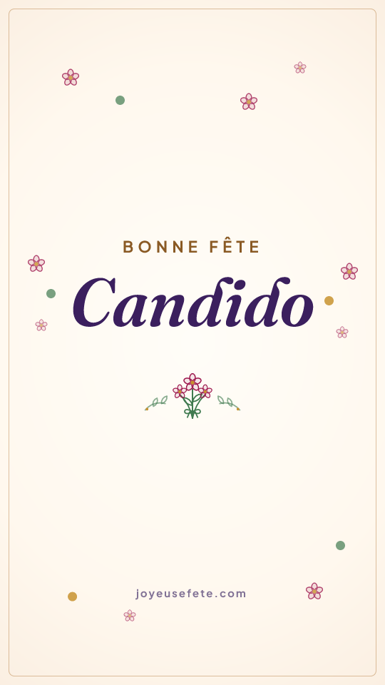 Image « Bonne fête Candido » au format story