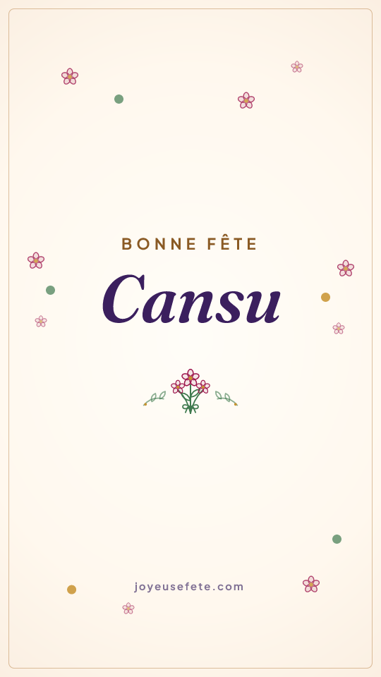Image « Bonne fête Cansu » au format story