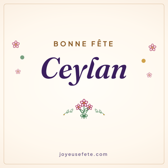 Image carrée « Bonne fête Ceylan » pour WhatsApp