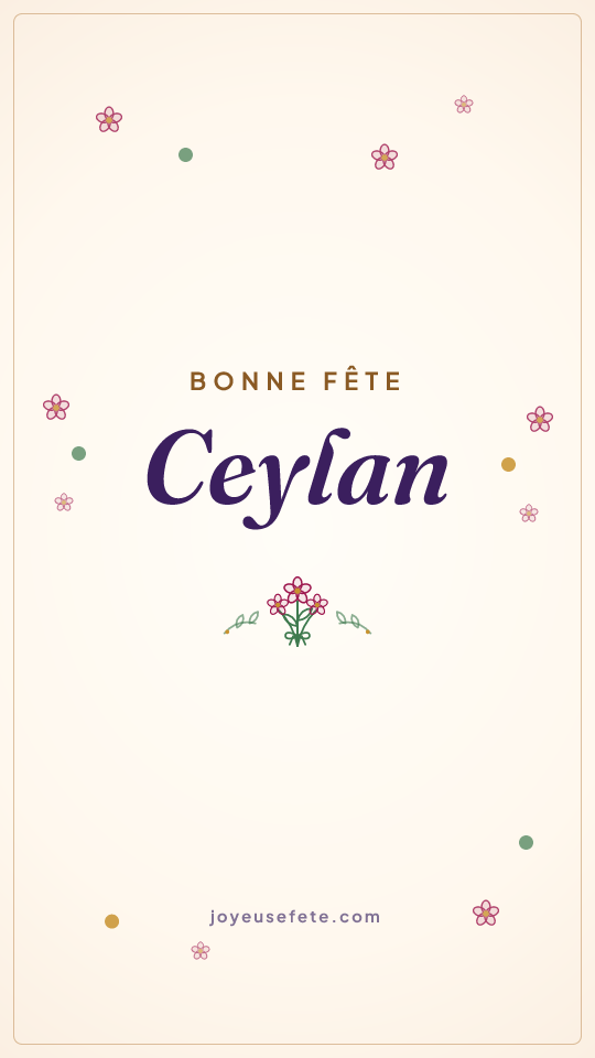 Image « Bonne fête Ceylan » au format story